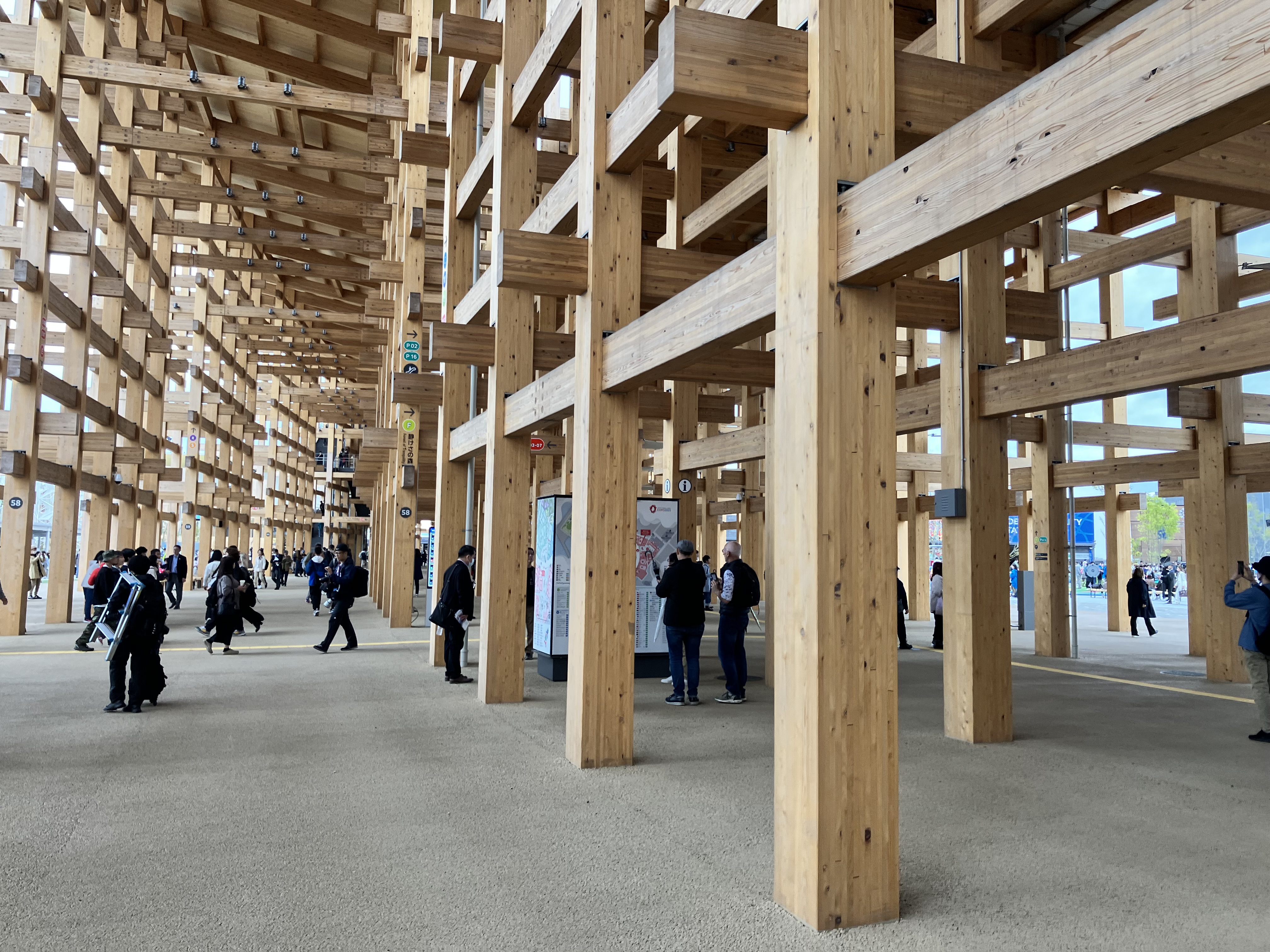 大屋根リングを下から